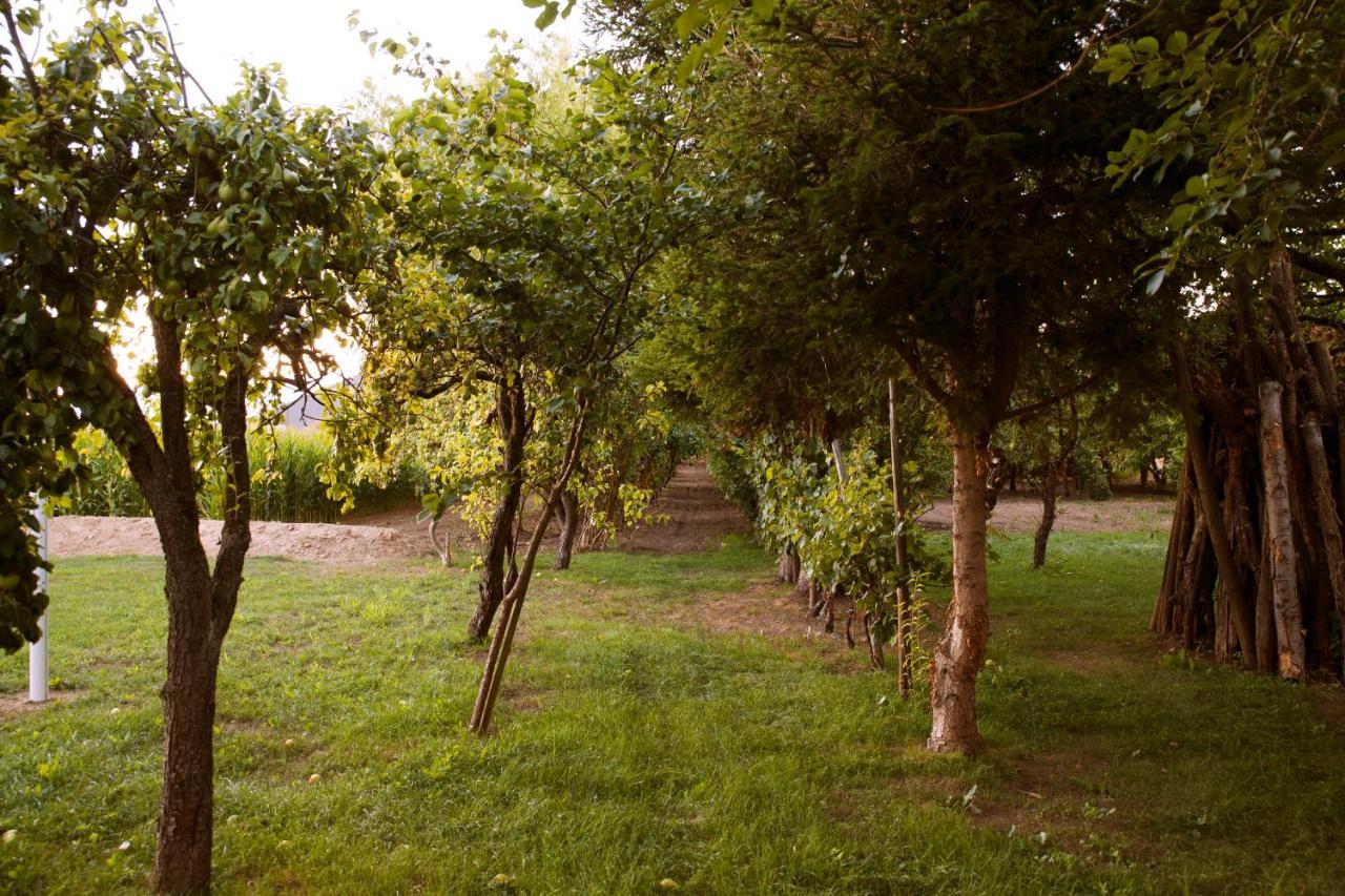 Domaine Des 4Roses -Spa Et Serenite Villa Furdenheim Kültér fotó