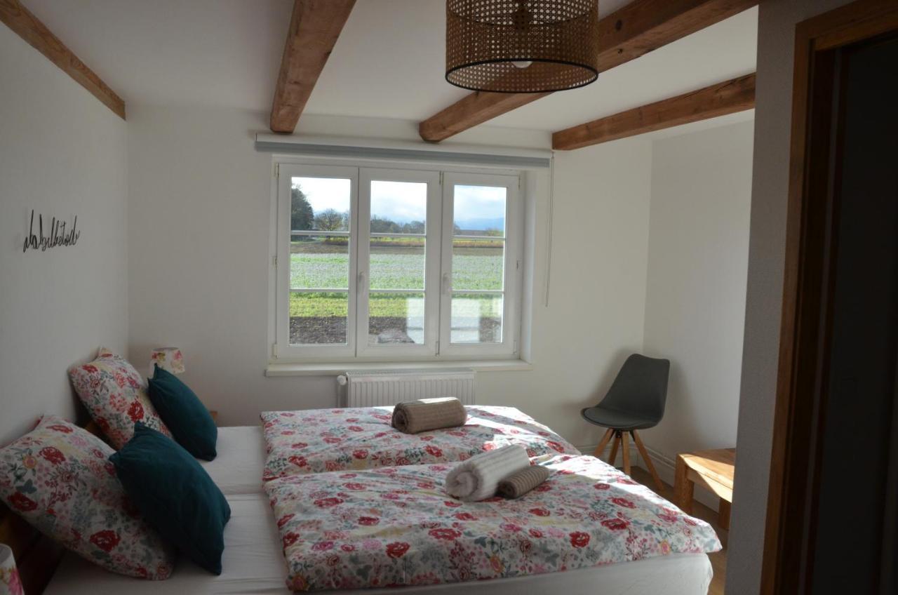 Domaine Des 4Roses -Spa Et Serenite Villa Furdenheim Kültér fotó